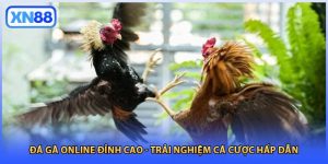Đá Gà Online Đỉnh Cao - Trải Nghiệm Cá Cược Hấp Dẫn